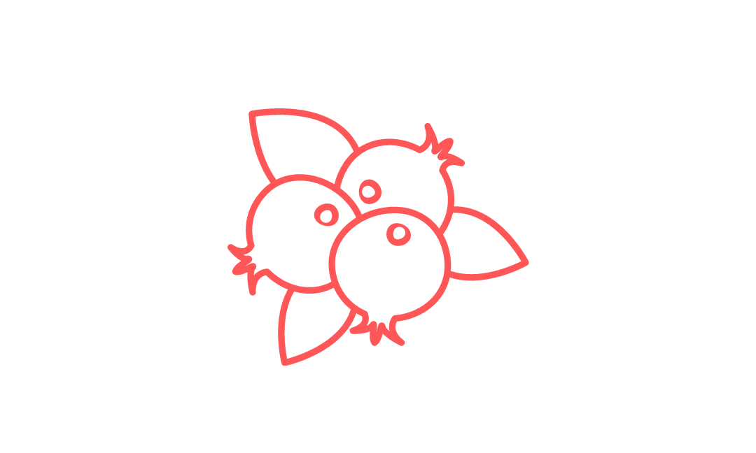 Cranberries are not just for Thanksgiving